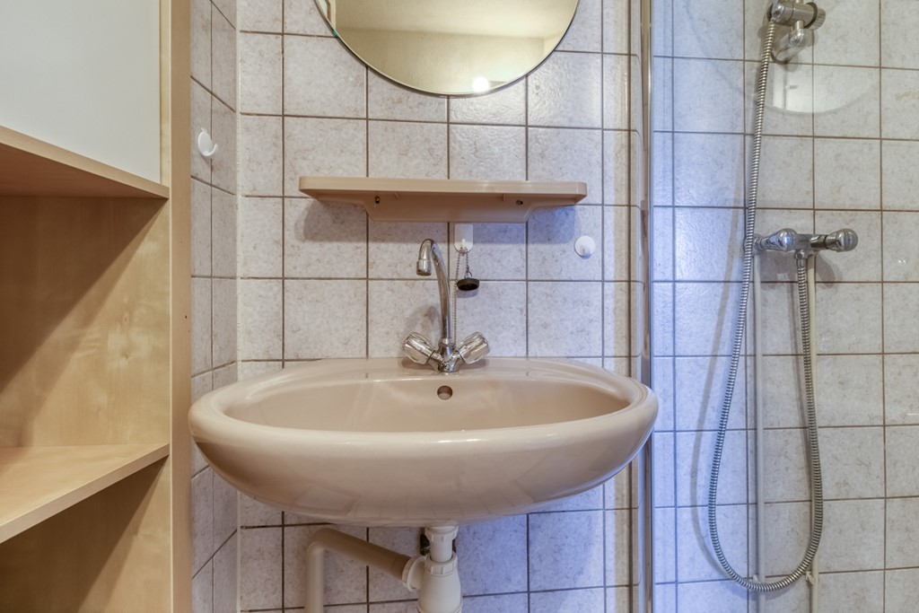 Lamsoor 3b Nieuwvliet-28.jpg